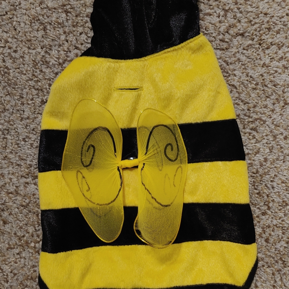 Bumblebee dog costume